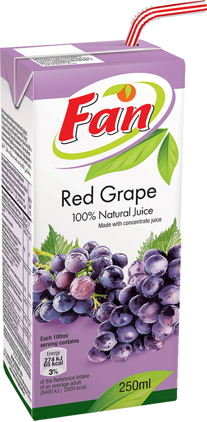 FAN Apple Juice 100% 250ml